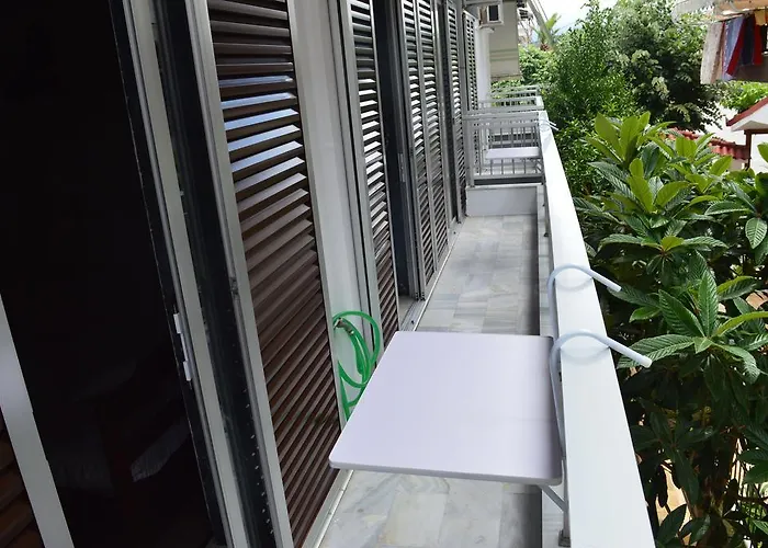 Enjoy & * Néoi Póroi