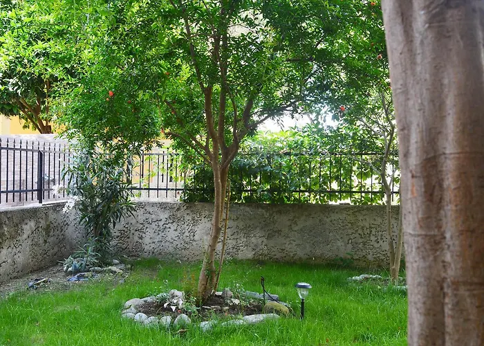 Enjoy & Néoi Póroi