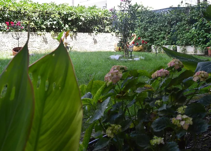 Enjoy & Néoi Póroi