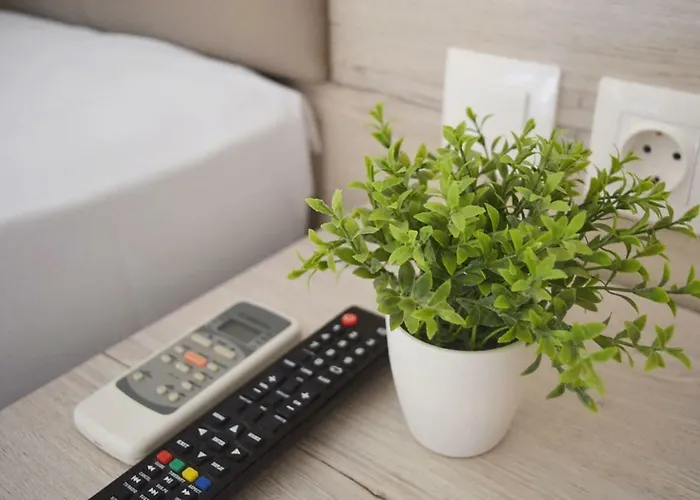 Enjoy & * Néoi Póroi